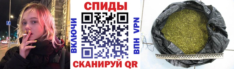 Купить где Камень-на-Оби Бутират BDO 33%