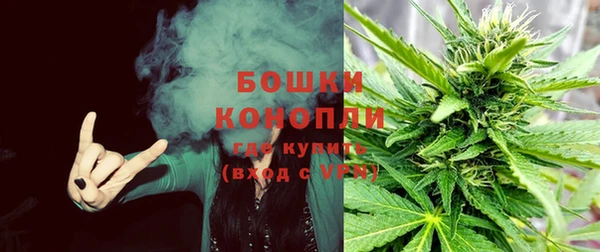ПСИЛОЦИБИНОВЫЕ ГРИБЫ Горнозаводск