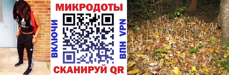 Галлюциногенные грибы Magic Shrooms  Купить где  Камень-на-Оби 